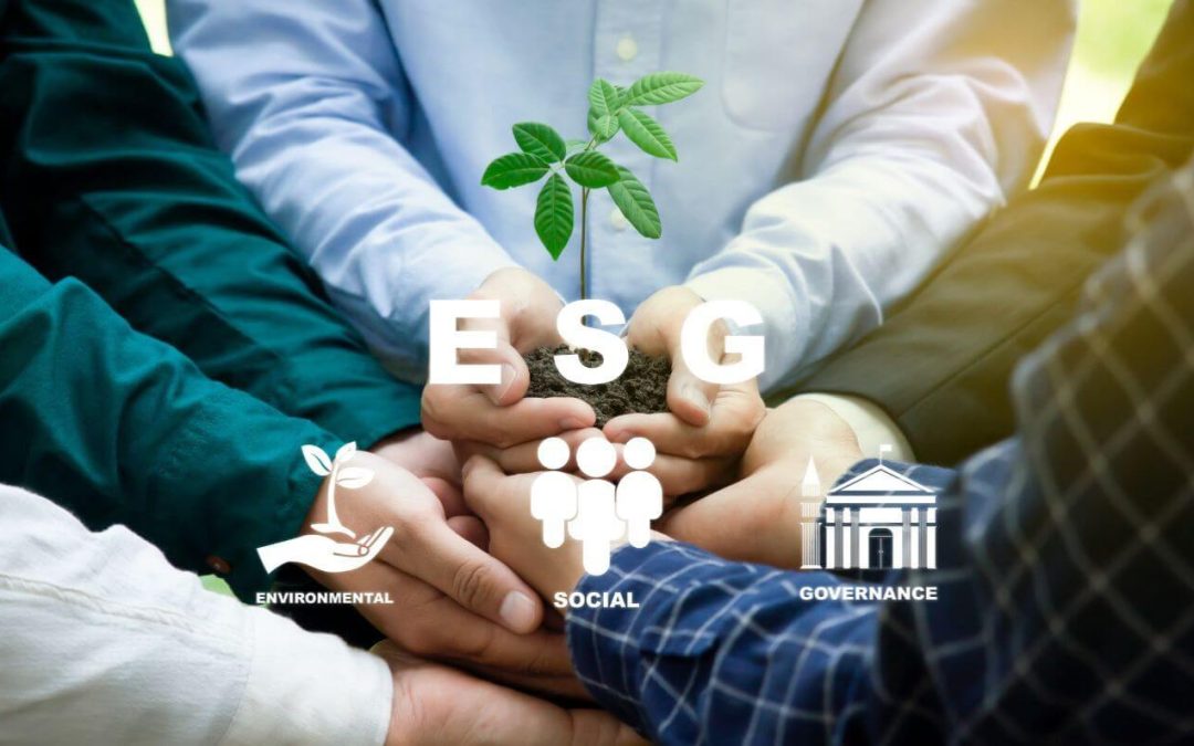 The Importance of ESG in SMEs and How Lawyers Can Help
