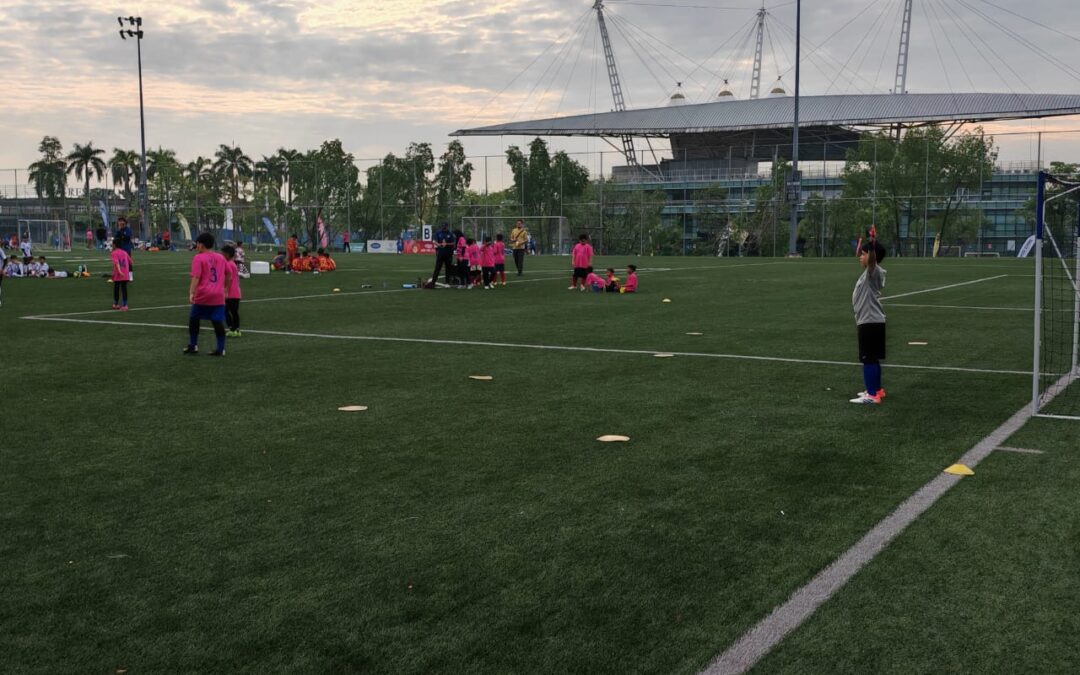 Pewarisan Sukan (Sporting Succession) Dalam Bola Sepak: Apabila Kelab Bertukar Nama, Adakah Sejarah dan Hutangnya Turut Berubah?